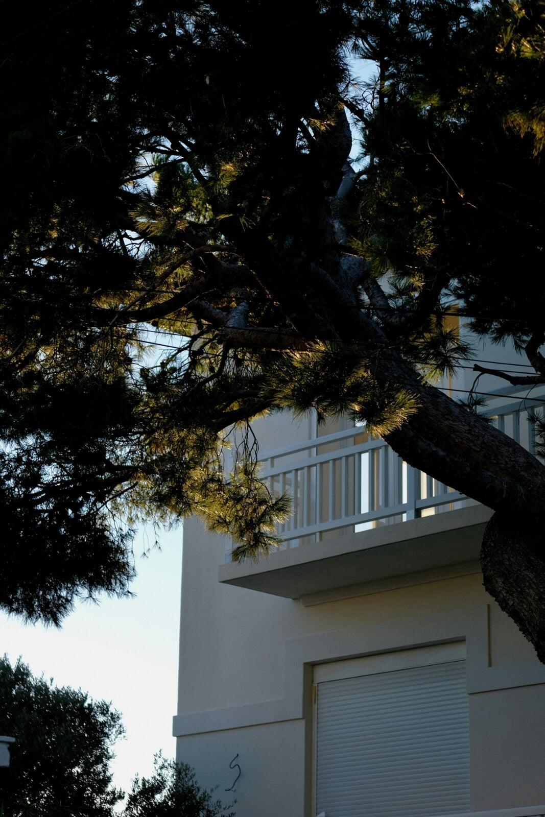 Privacy Trees