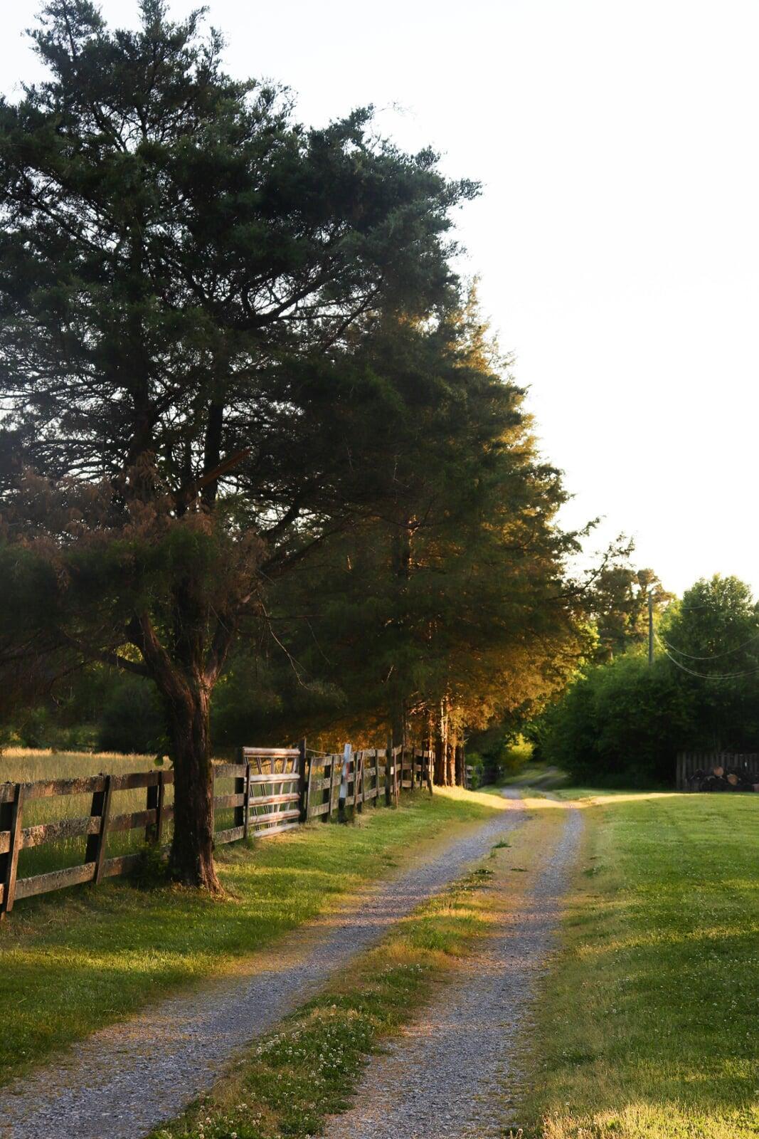 Gravel Driveway