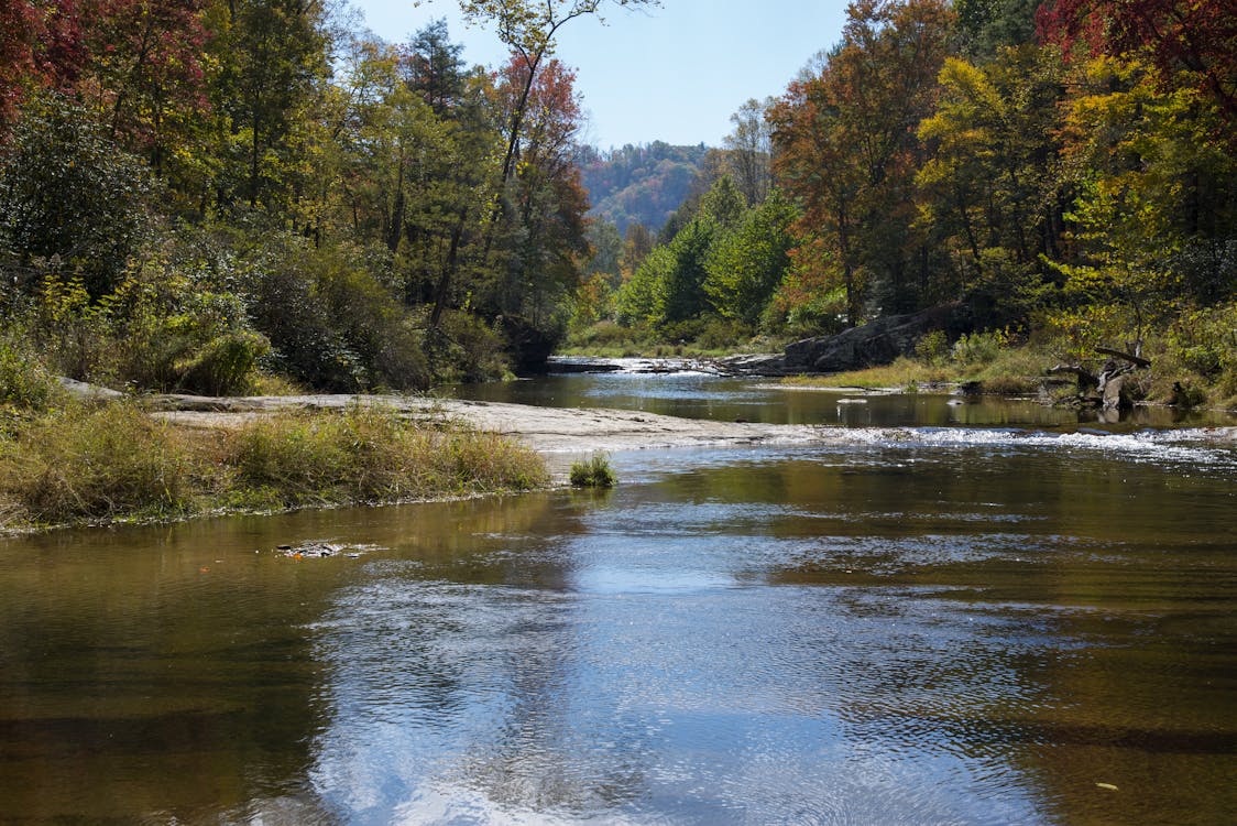River Bend Nature