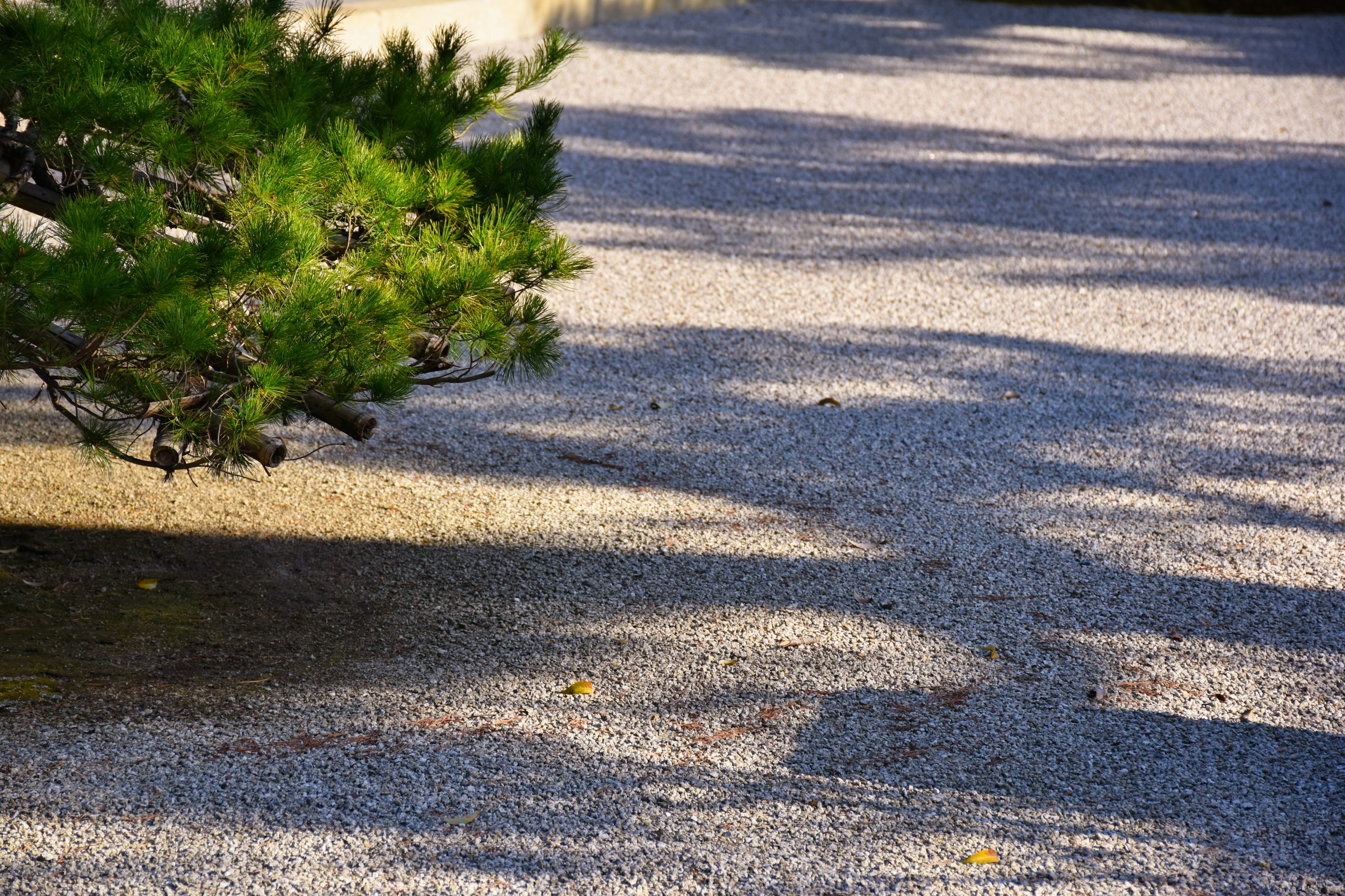 Vanceboro Driveway